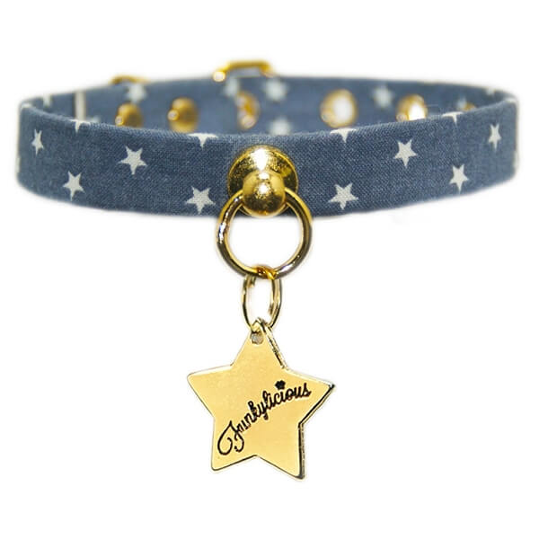 collier pour chiot chihuahua