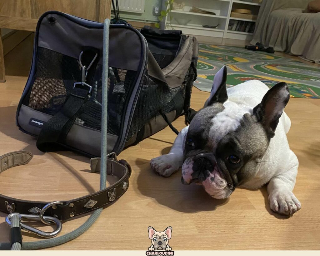 Le Bouledogue Bag